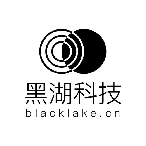 上海黑湖网络科技