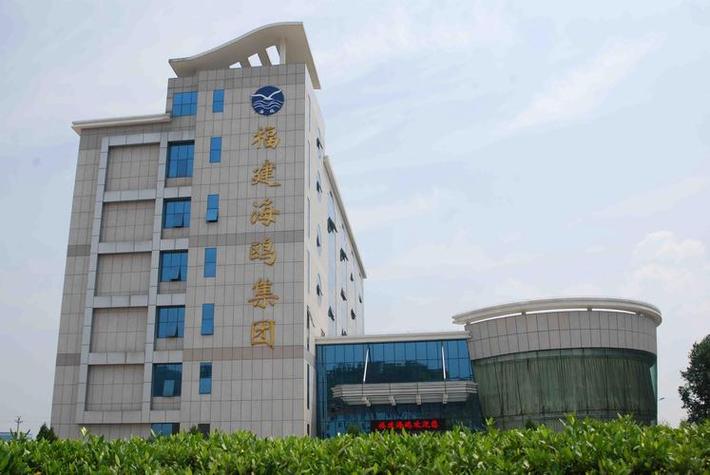 福鼎网站建设公司