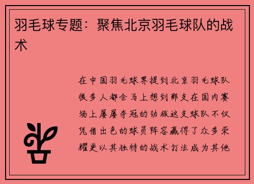 羽毛球专题：聚焦北京羽毛球队的战术