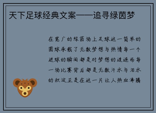 天下足球经典文案——追寻绿茵梦