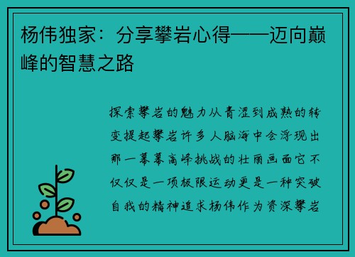杨伟独家：分享攀岩心得——迈向巅峰的智慧之路